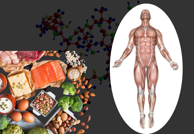 How much protein does your body really need each day?