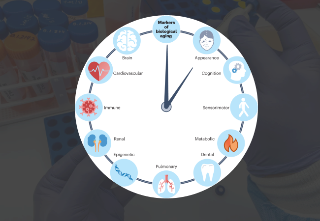Why-Is-Everyone-Getting-a-Biological-Age-Test-img