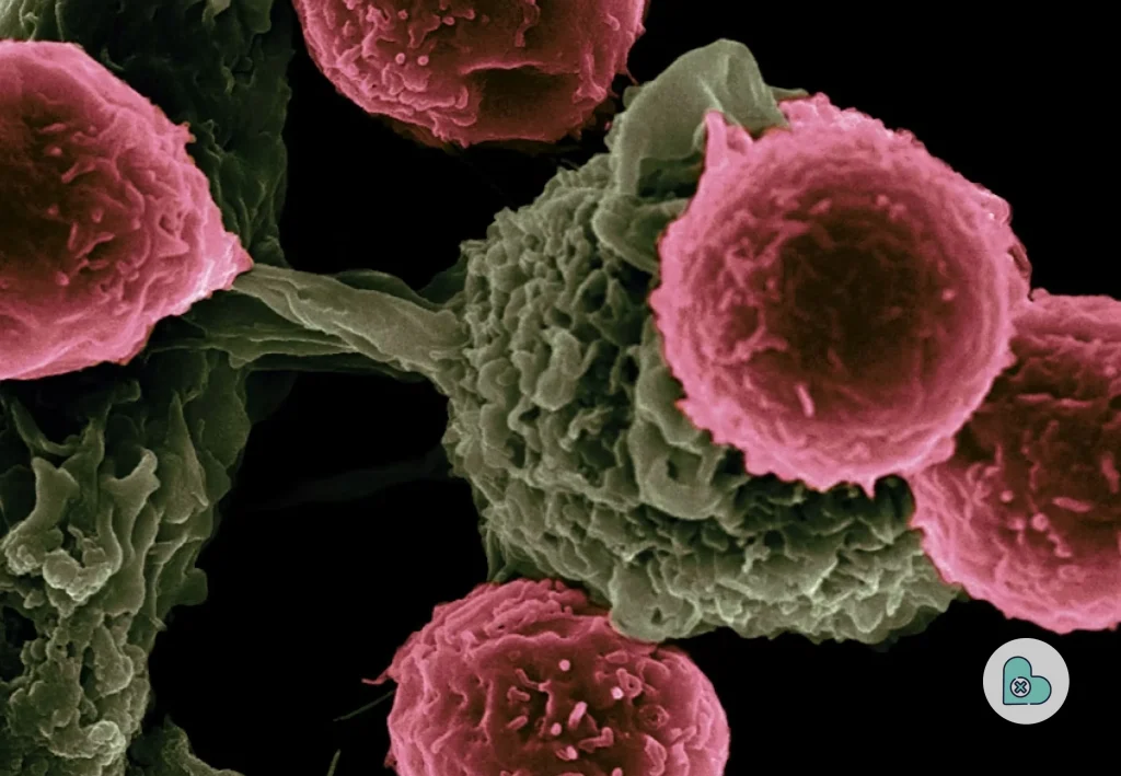 Understanding Precision Oncology and Its Importance _ National Cancer Institute